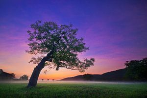 Magische zonsopkomst van Halma Fotografie