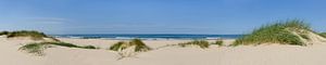 Panoramablick auf den Strand im Sommer an der Nordsee