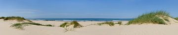 Panorammic beach view during summer at the North Sea by Sjoerd van der Wal Photography