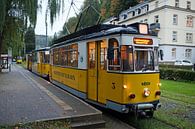 Kirnitzschtalbahn in Bad Schandau (Saksisch Zwitserland) van t.ART thumbnail