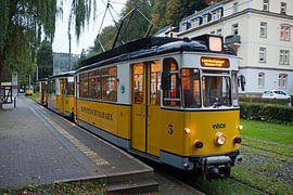 Kirnitzschtalbahn in Bad Schandau (Sächsische Schweiz) von t.ART