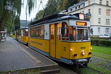 Kirnitzschtalbahn in Bad Schandau (Saksisch Zwitserland) van t.ART