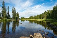 River in Schweden Nr. 3 von Geertjan Plooijer Miniaturansicht