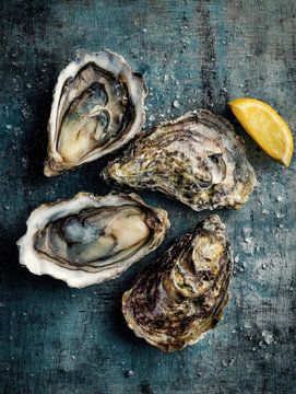 Verse oesters op steen van Franka Poulain