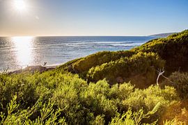 Morning at Yallingup Beach by Patrick Kilb