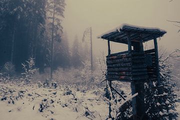 Aussichtspunkt für die Jagd im Schnee von Travel.san