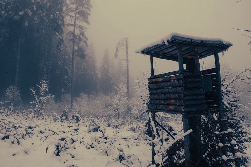 Viewpoint for hunting in the snow by Travel.san