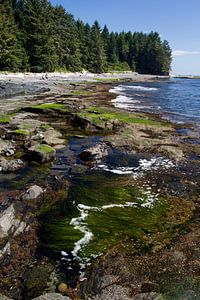 Botanical Beach