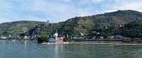 Burg Pfalzgrafenstein van Richard Wareham thumbnail