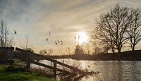 Sonnenuntergang an der Regge.