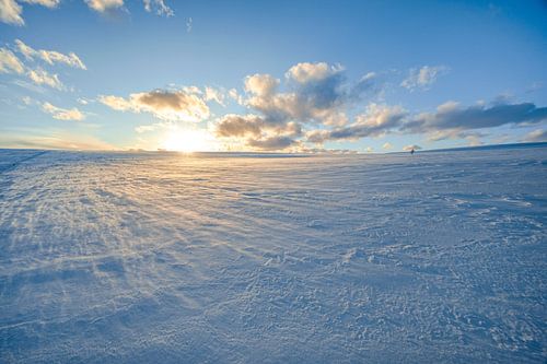 Zonsondergang in het winterlandschap