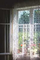 Old window with a view of the garden