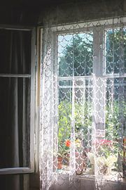 Old window with a view of the garden by stewic_