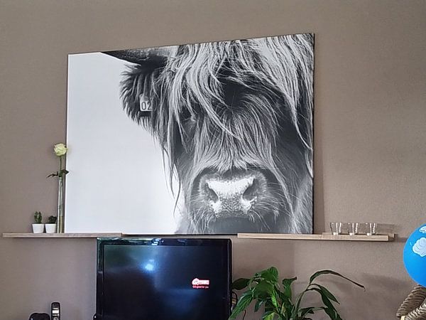 Customer photo: Portrait Scottish Highlander black and white by Sandra van Kampen, on canvas
