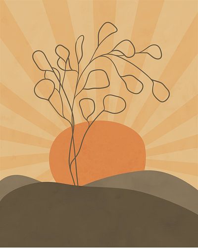 Eucalyptusboom bij zonsondergang