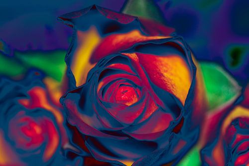 So blue so creative galaxy rose