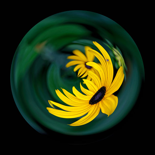 Dans van de zonnehoed