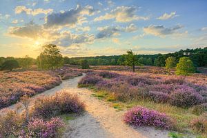 Evening on the Heath by Michael Valjak