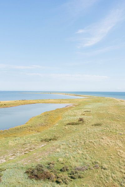 Landtongue by Laura Bosch