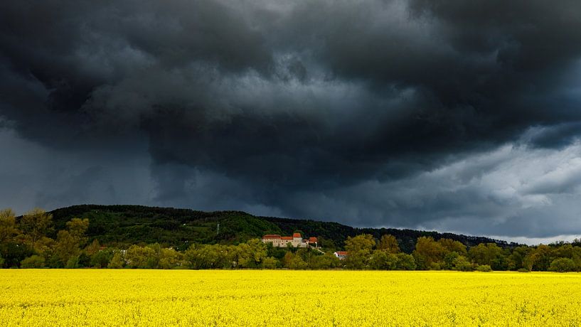 The Creuzburg by Roland Brack