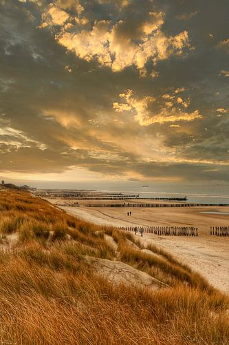 Vergezicht Zeeuwse Kust