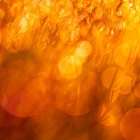 Energiefarbe Orange - Energie des Sonnenaufgangs von Daniela Beyer