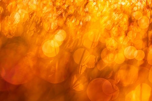 Energiefarbe Orange - Energie des Sonnenaufgangs von Daniela Beyer