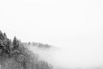 'WINTER', bomen in de mist. Zwart-wit fotografie.