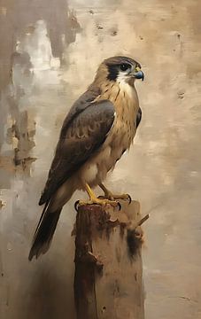 The falcon by Claudia Rotermund