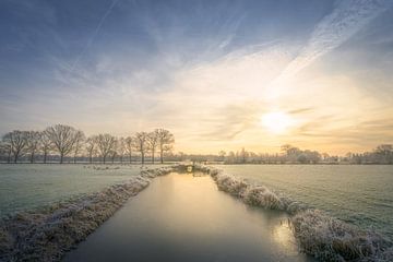 Winter Wonderland van Rogier Kwikkers
