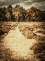 Herfst