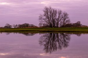 Brücke und Bäume spiegeln sich im ruhigen Wasser während eines pastellfarbenen Sonnenaufgangs