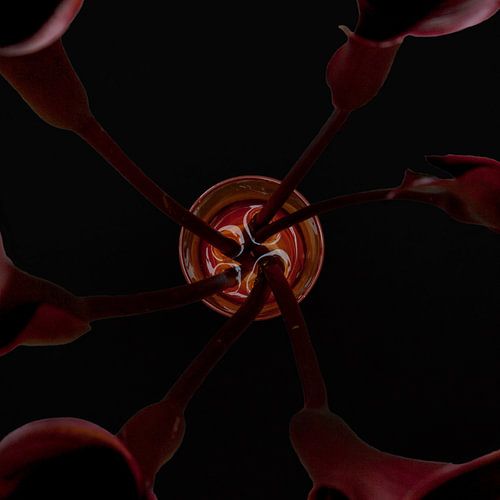 Vase von oben (#9, Vase von Esther)