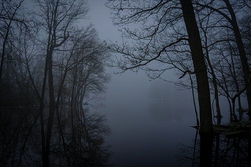 Brouillard très dense sur une prairie inondée de la Kampina.