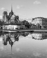 Notre Dame reflection