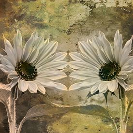 Sonnenblumen in Harmonie von Saranda Foto Art