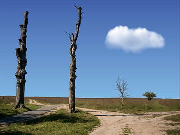 147. De Hoge Veluwe