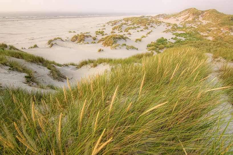 Plage et mer sur la côte néerlandaise par Dirk van Egmond