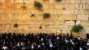 Des hommes au Mur des Lamentations à Jérusalem