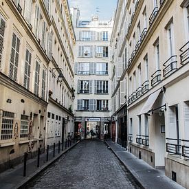 A street in Paris by Robert Snoek