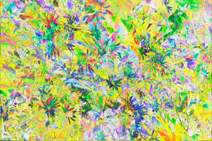 Sun hat (Rudbeckia fulgida), abstract, flower, by Torsten Krüger