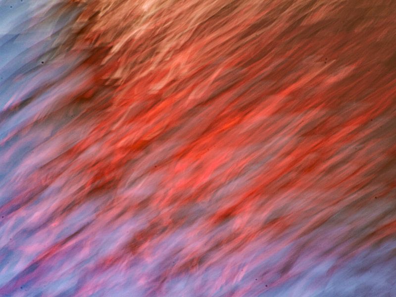 A Flamingo Party by Brenda bonte
