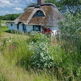 Idyll on the Eiderstedt peninsula, North Frisia by Peter Eckert