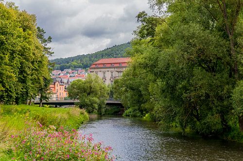 Adembenemend parklandschap bij kasteel Elisabethenburg