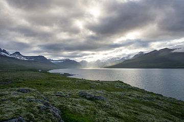 IJsland - Zon breekt door wolken bij fjord met bergen en groen met mos bedekt landschap van adventure-photos
