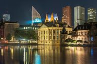 The Hague skyline with court pond by Karin Riethoven thumbnail