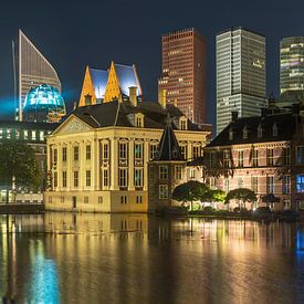 Skyline Den Haag met hofvijver van Karin Riethoven