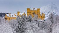 Schloss Hohenschwangau, Allgäu, Bayern, Deutschland von Henk Meijer Photography Miniaturansicht