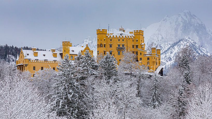 Schloss Hohenschwangau, Allgäu, Bayern, Deutschland von Henk Meijer Photography