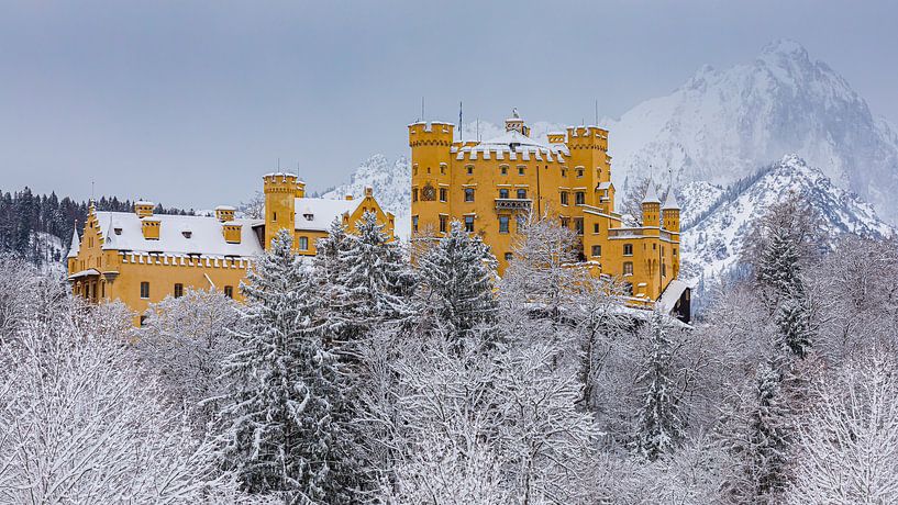 Castle Hohenschwangau, Allgau, Bavaria, Germany by Henk Meijer Photography